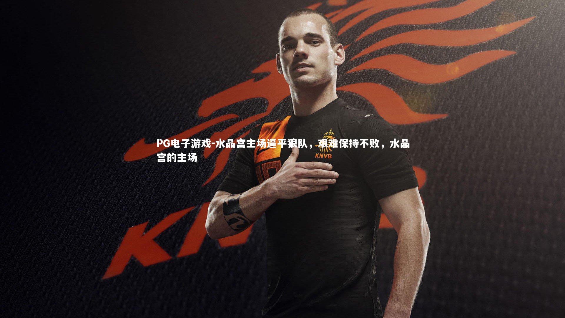 PG电子游戏-水晶宫主场逼平狼队，艰难保持不败，水晶宫的主场