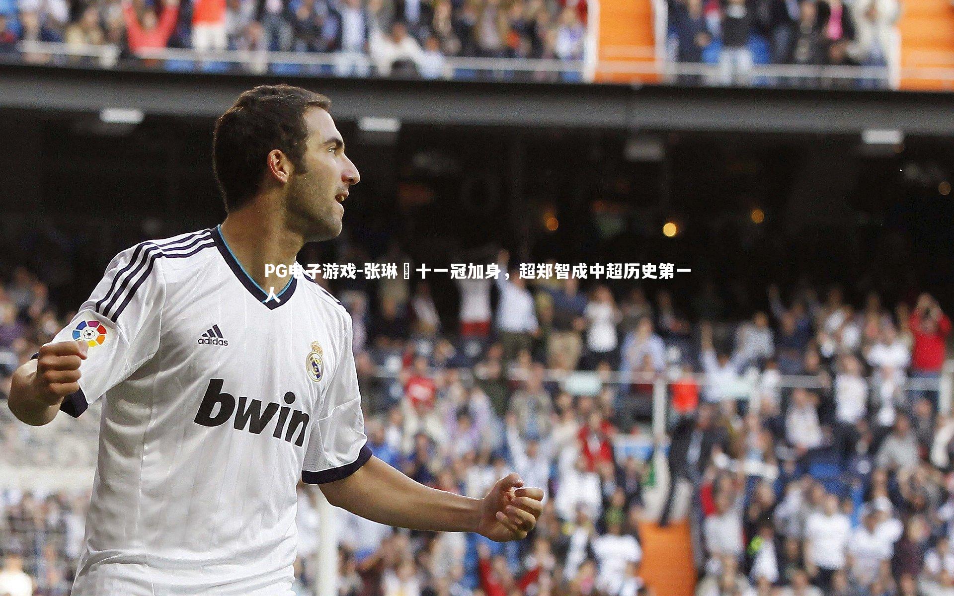 PG电子游戏-张琳芃十一冠加身，超郑智成中超历史第一人